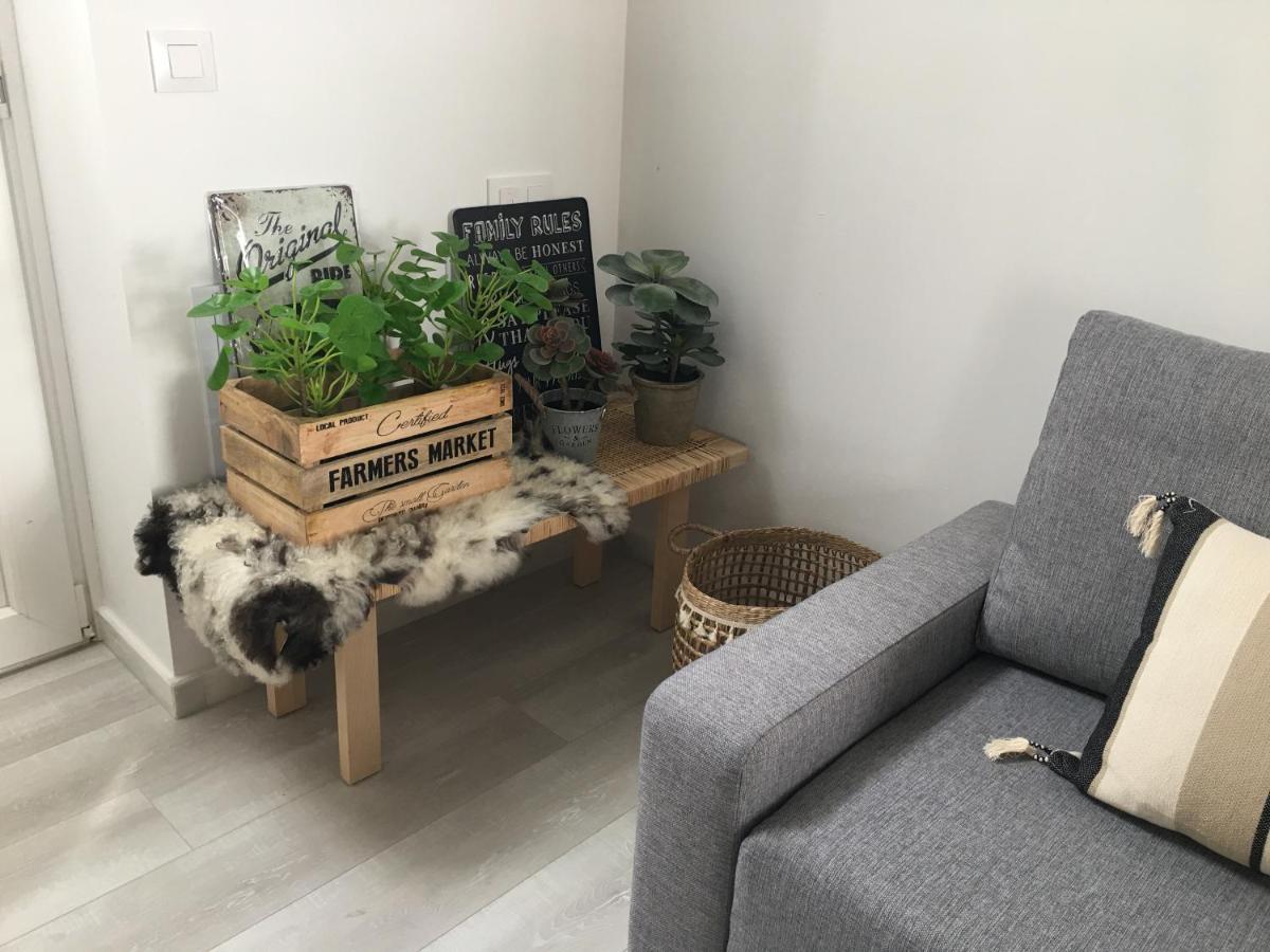 Loft Xerez Centro Apartment Херес де ла Фронтера Екстериор снимка