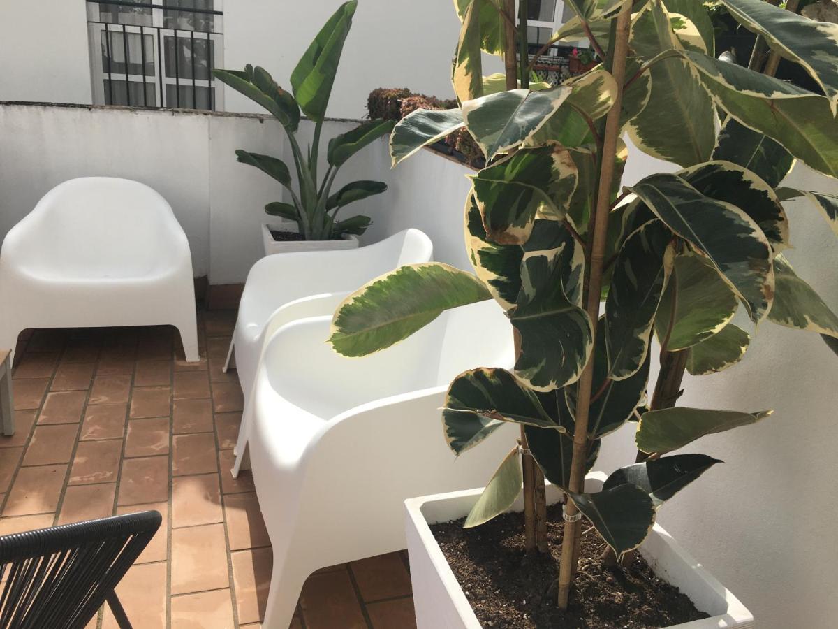 Loft Xerez Centro Apartment Херес де ла Фронтера Екстериор снимка