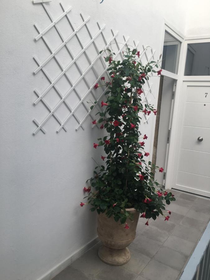 Loft Xerez Centro Apartment Херес де ла Фронтера Екстериор снимка
